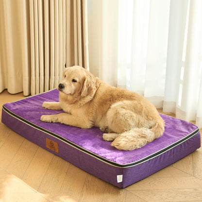 Orthopedic Memory Foam XXL Dog Bed - 6" Thick Beds for Extra Large Sized Dog - Waterproof Removable Washable Cover & Wrap-Around Zipper - Ultimate Comfort & Easy Maintenance, Dary Grey