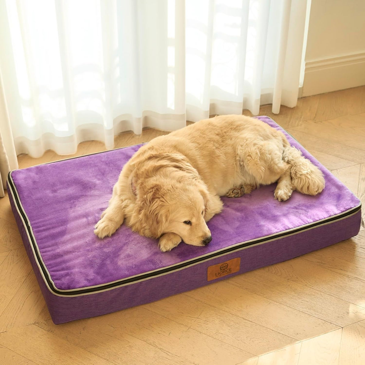 Orthopedic Memory Foam XXL Dog Bed - 6" Thick Beds for Extra Large Sized Dog - Waterproof Removable Washable Cover & Wrap-Around Zipper - Ultimate Comfort & Easy Maintenance, Dary Grey