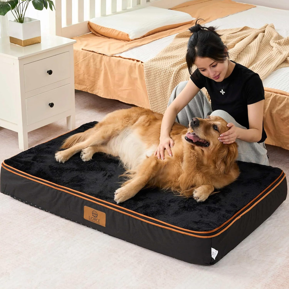 Orthopedic Memory Foam XXL Dog Bed - 6" Thick Beds for Extra Large Sized Dog - Waterproof Removable Washable Cover & Wrap-Around Zipper - Ultimate Comfort & Easy Maintenance, Dary Grey