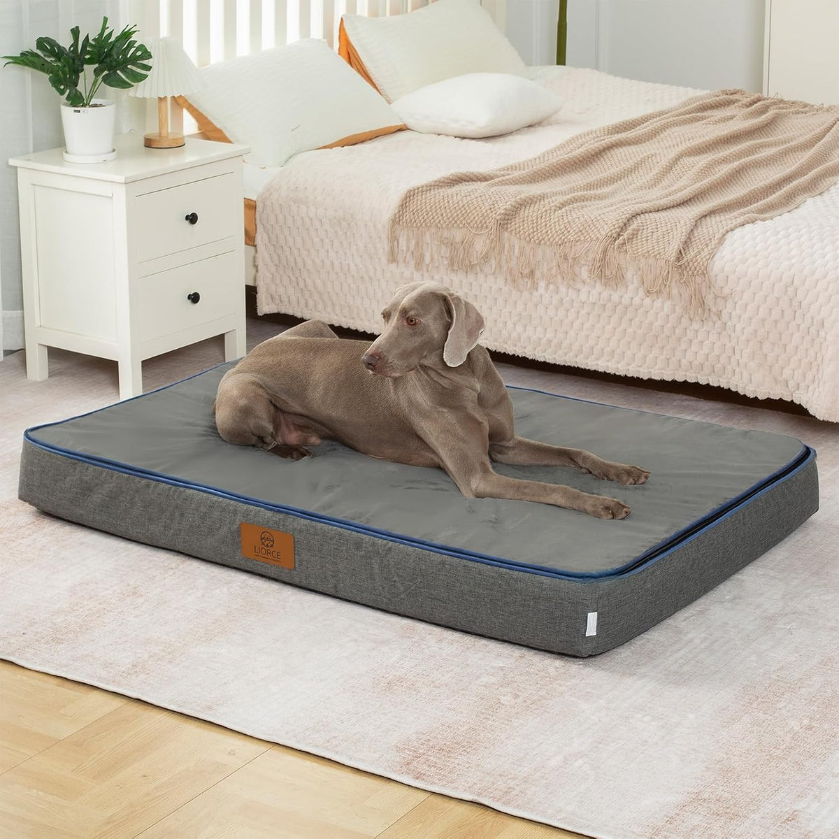 Orthopedic Memory Foam XXL Dog Bed - 6" Thick Beds for Extra Large Sized Dog - Waterproof Removable Washable Cover & Wrap-Around Zipper - Ultimate Comfort & Easy Maintenance, Dary Grey