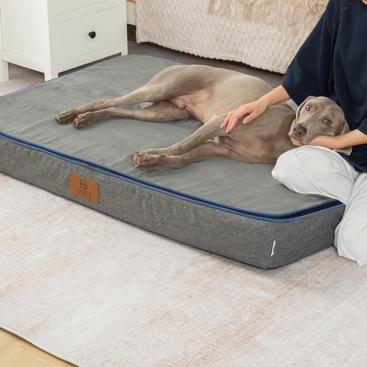 Orthopedic Memory Foam XXL Dog Bed - 6" Thick Beds for Extra Large Sized Dog - Waterproof Removable Washable Cover & Wrap-Around Zipper - Ultimate Comfort & Easy Maintenance, Dary Grey