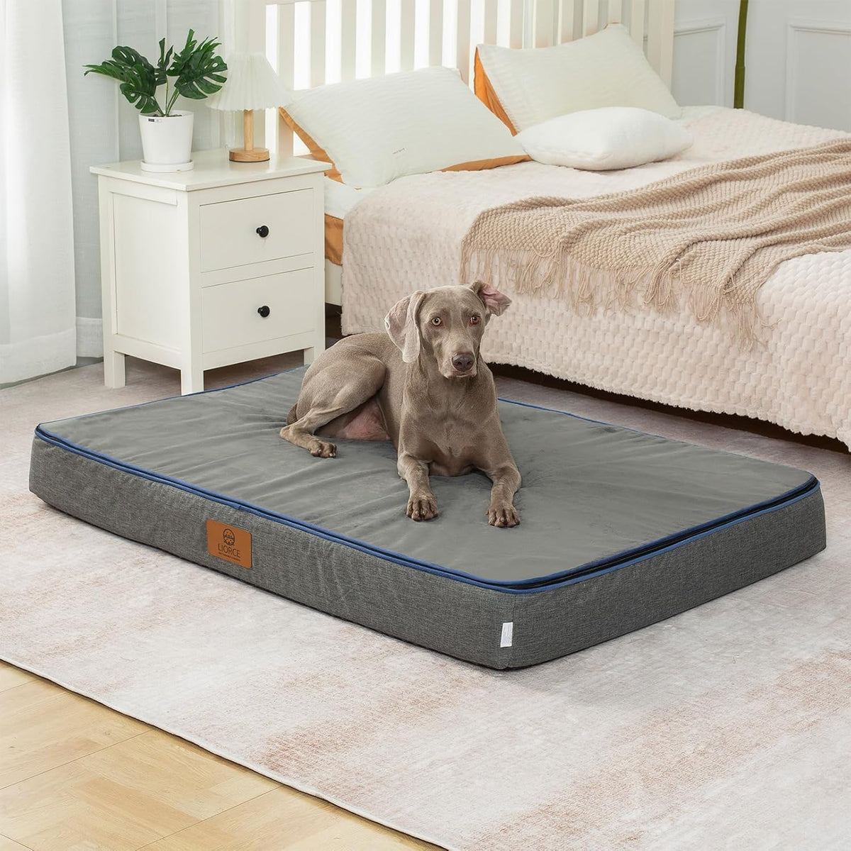 Orthopedic Memory Foam XXL Dog Bed - 6" Thick Beds for Extra Large Sized Dog - Waterproof Removable Washable Cover & Wrap-Around Zipper - Ultimate Comfort & Easy Maintenance, Dary Grey