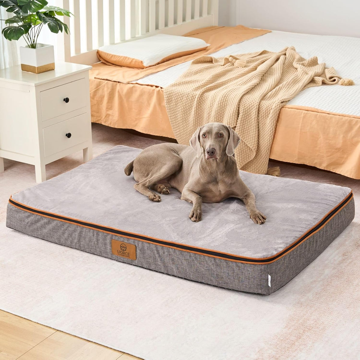 Orthopedic Memory Foam XXL Dog Bed - 6" Thick Beds for Extra Large Sized Dog - Waterproof Removable Washable Cover & Wrap-Around Zipper - Ultimate Comfort & Easy Maintenance, Dary Grey