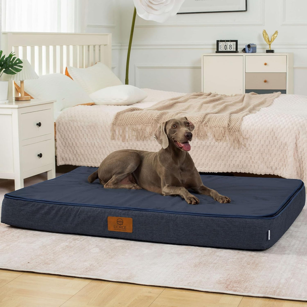 Orthopedic Memory Foam XXL Dog Bed - 6" Thick Beds for Extra Large Sized Dog - Waterproof Removable Washable Cover & Wrap-Around Zipper - Ultimate Comfort & Easy Maintenance, Dary Grey