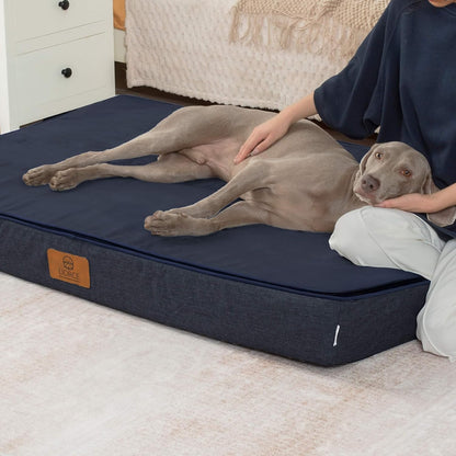 Orthopedic Memory Foam XXL Dog Bed - 6" Thick Beds for Extra Large Sized Dog - Waterproof Removable Washable Cover & Wrap-Around Zipper - Ultimate Comfort & Easy Maintenance, Dary Grey