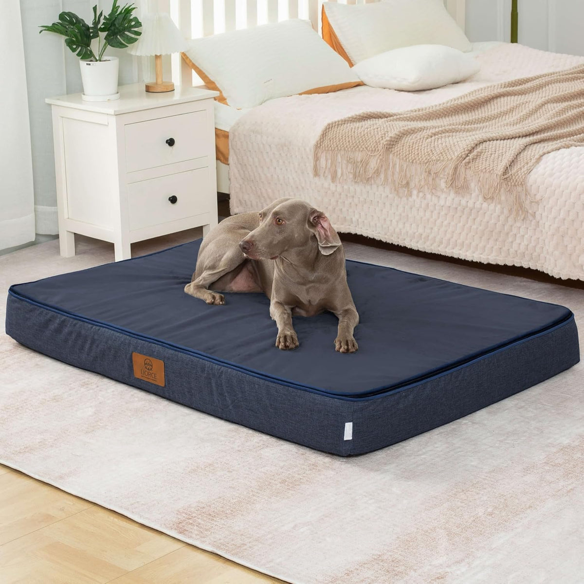 Orthopedic Memory Foam XXL Dog Bed - 6" Thick Beds for Extra Large Sized Dog - Waterproof Removable Washable Cover & Wrap-Around Zipper - Ultimate Comfort & Easy Maintenance, Dary Grey