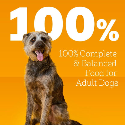 High Protein Cuts in Gravy Pack Wet Dog Food, 13.2 oz, 12 Count
