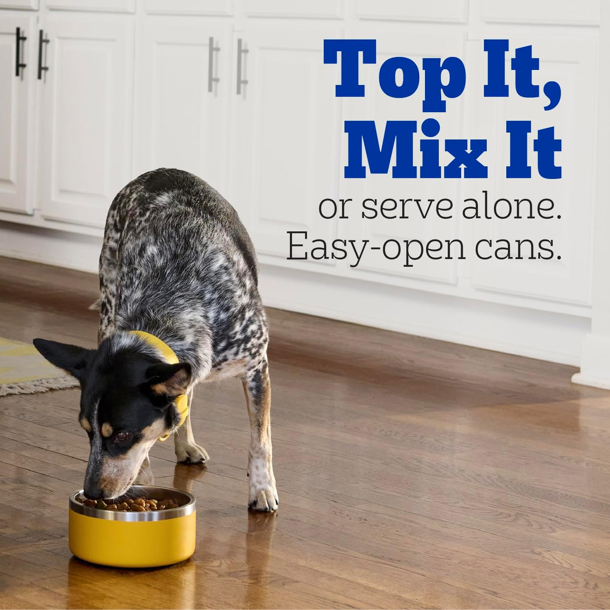 High Protein Cuts in Gravy Pack Wet Dog Food, 13.2 oz, 12 Count