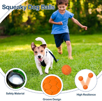 2 Pack Indestructible Squeaky Dog Balls for Aggressive Chewers, Interactive Dog Toys for Teething, Relieving Anxiety. Chew Toy for Large, Medium Breeds, Outdoor Rubber Balls.