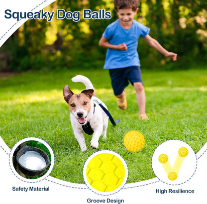 2 Pack Indestructible Squeaky Dog Balls for Aggressive Chewers, Interactive Dog Toys for Teething, Relieving Anxiety. Chew Toy for Large, Medium Breeds, Outdoor Rubber Balls.