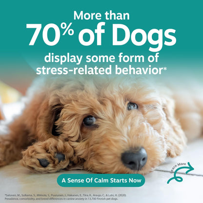 Calming Chews for Dogs - Dog Calming Supplement, PB