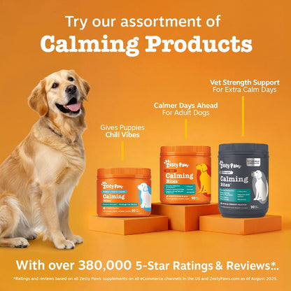 Calming Chews for Dogs - Dog Calming Supplement, PB