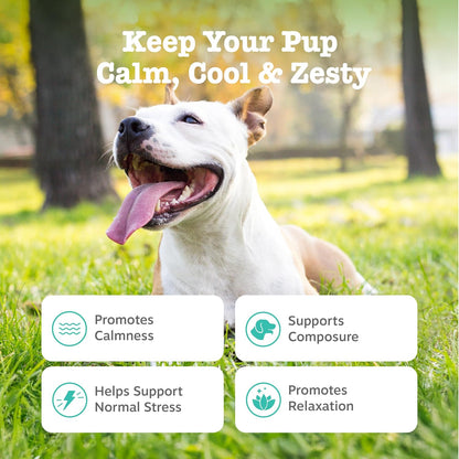 Calming Chews for Dogs - Dog Calming Supplement, PB