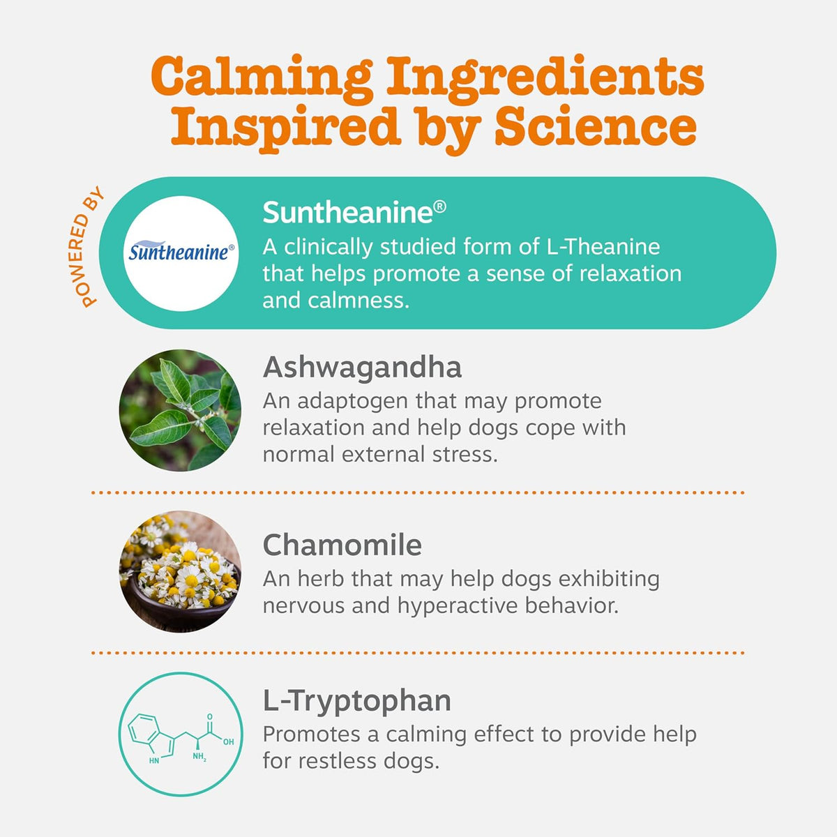 Calming Chews for Dogs - Dog Calming Supplement, PB
