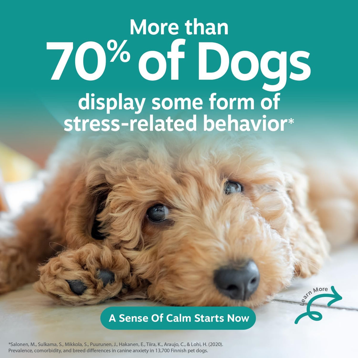 Calming Chews for Dogs - Dog Calming Supplement, PB
