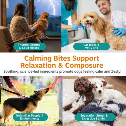 Calming Chews for Dogs - Dog Calming Supplement, PB