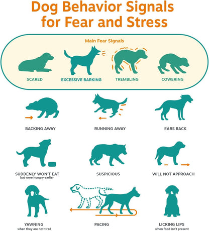 Calming Chews for Dogs - Dog Calming Supplement, PB