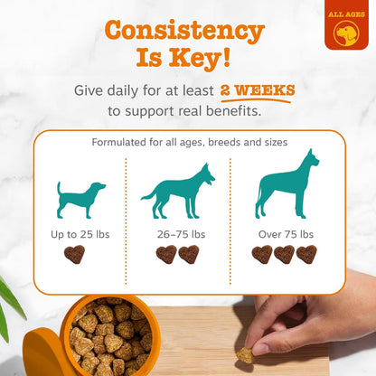 Calming Chews for Dogs - Dog Calming Supplement, PB