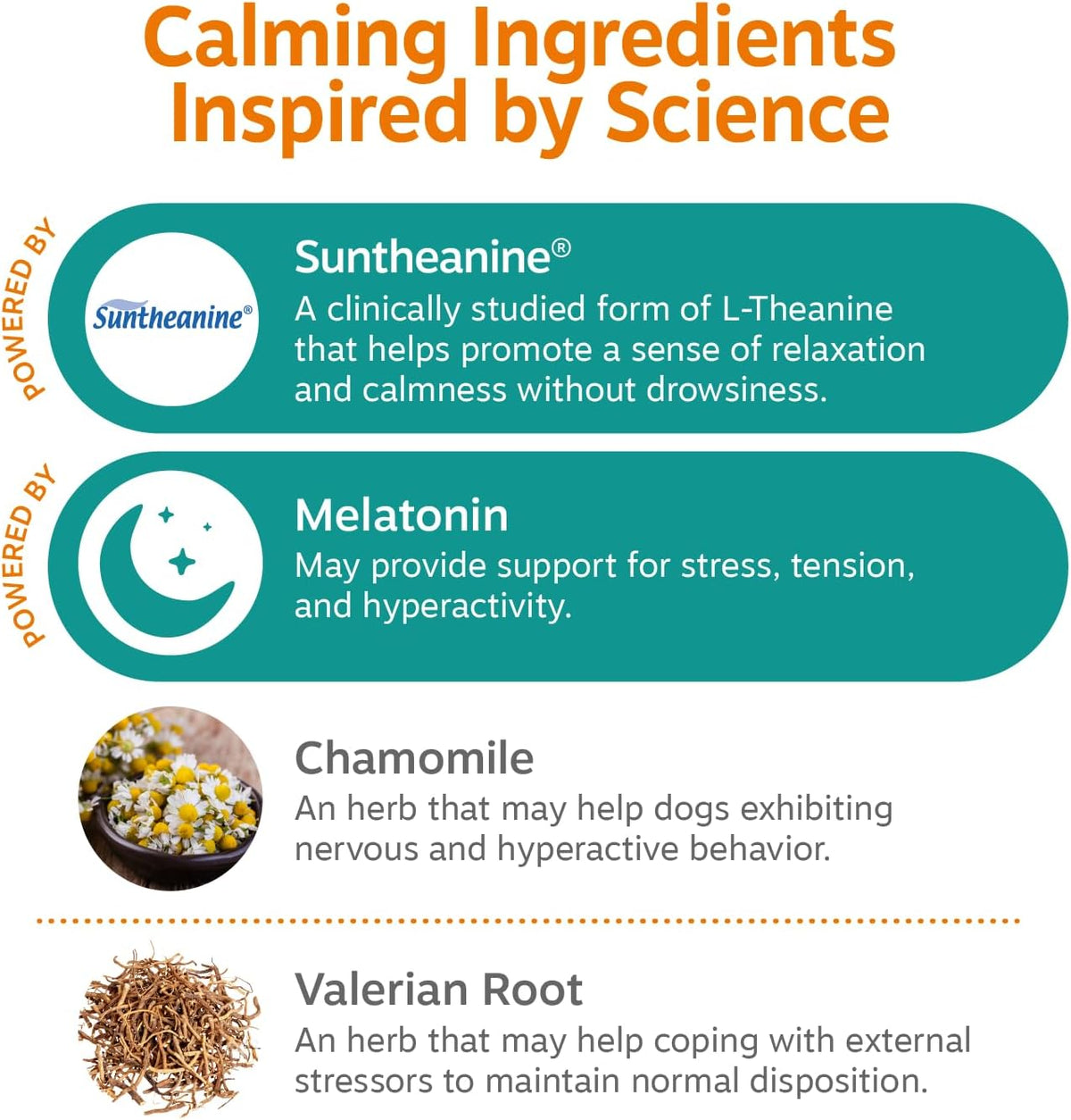 Calming Chews for Dogs - Dog Calming Supplement, PB