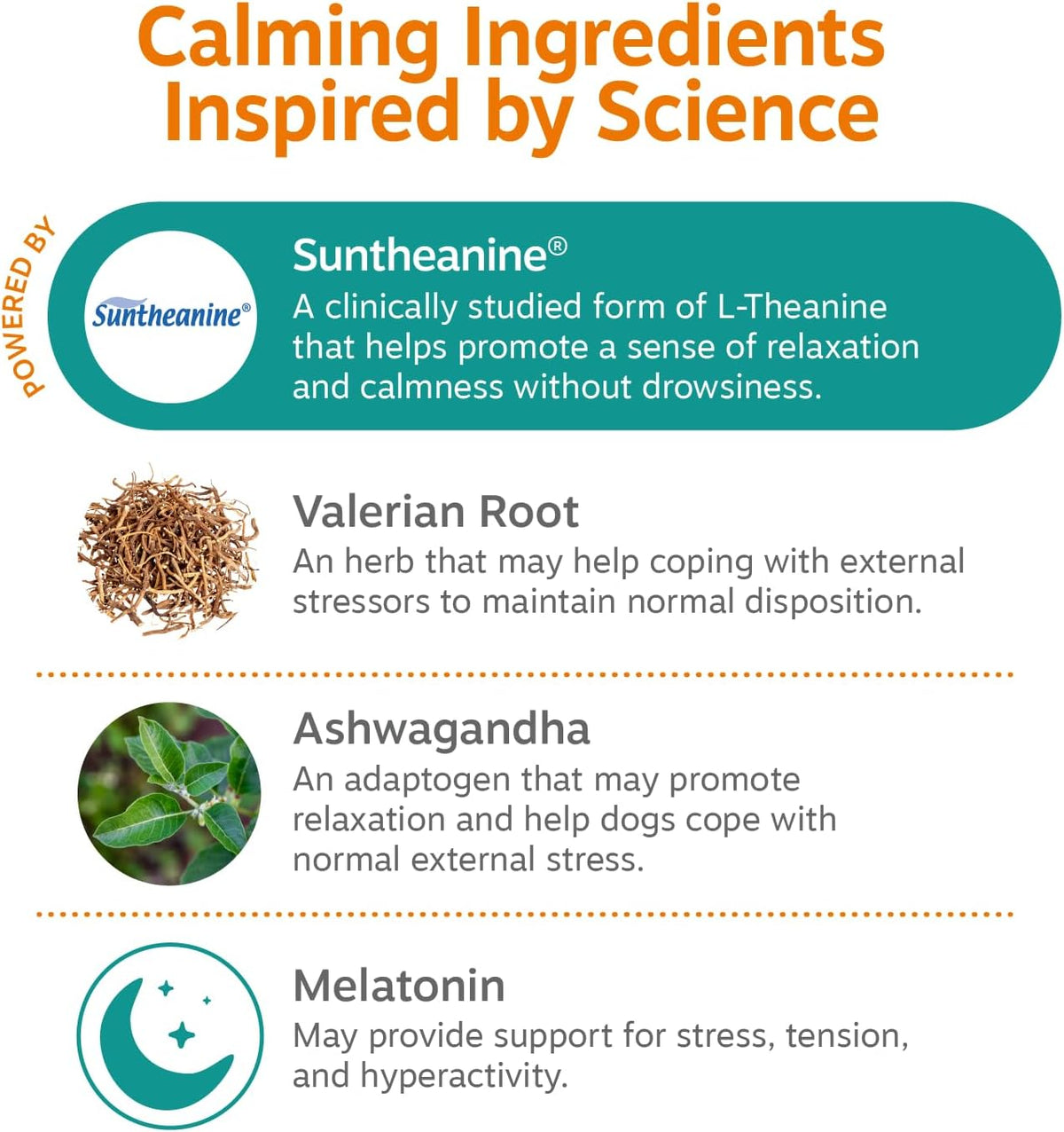 Calming Chews for Dogs - Dog Calming Supplement, PB