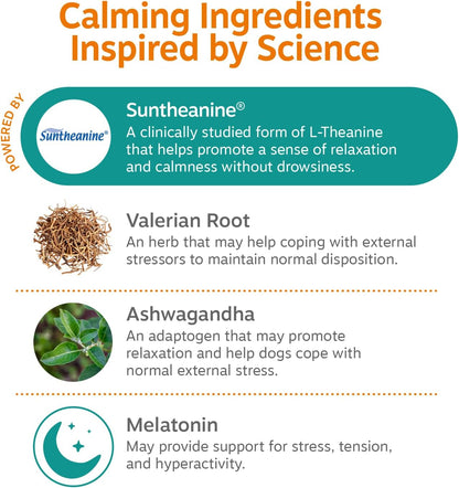 Calming Chews for Dogs - Dog Calming Supplement, PB