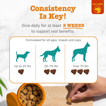 Calming Chews for Dogs - Dog Calming Supplement, PB