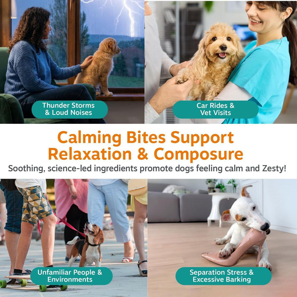 Calming Chews for Dogs - Dog Calming Supplement, PB