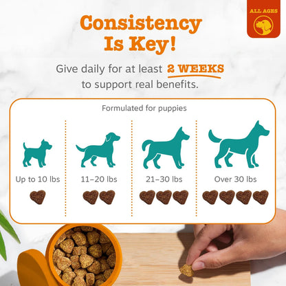 Calming Chews for Dogs - Dog Calming Supplement, PB