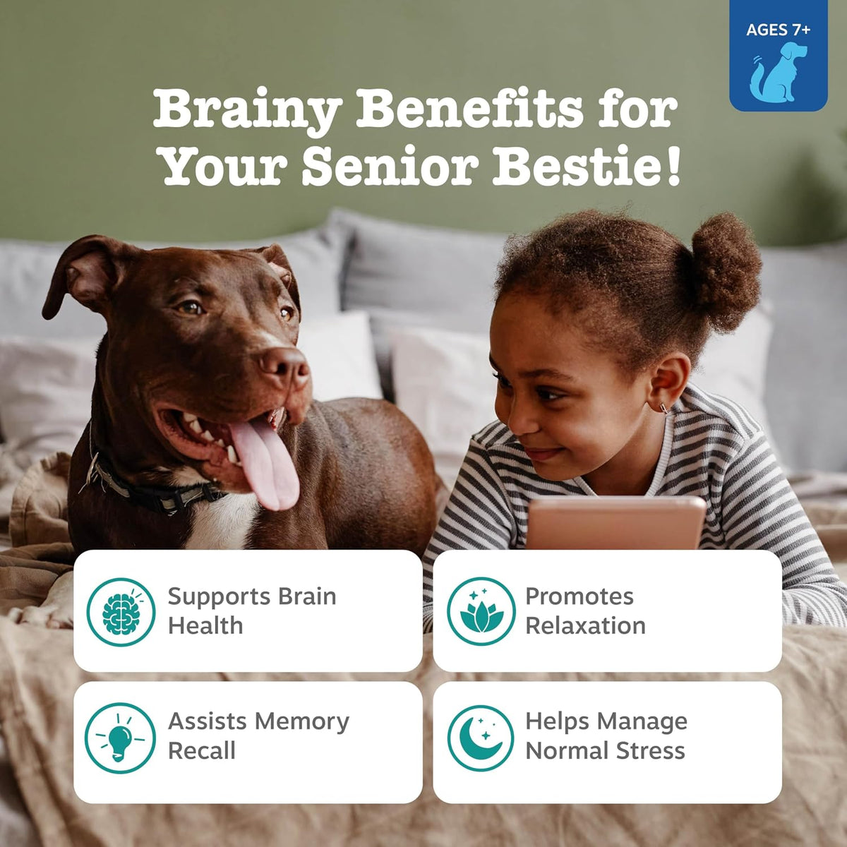 Calming Chews for Dogs - Dog Calming Supplement, PB