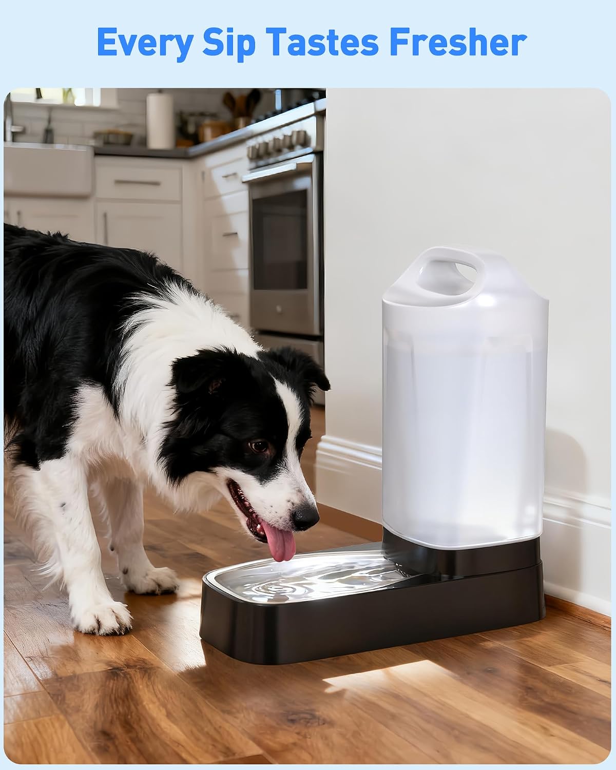 Automatic Dog Water Bowl Dispenser - 2.4 Gallon Gravity Pet Water Dispenser with 304 Stainless Steel Bowl, Dog Auto Feeders Bowls Self Waterer, Easy-Carry Handle for Large Dogs & Cats, Multi-Pet Home