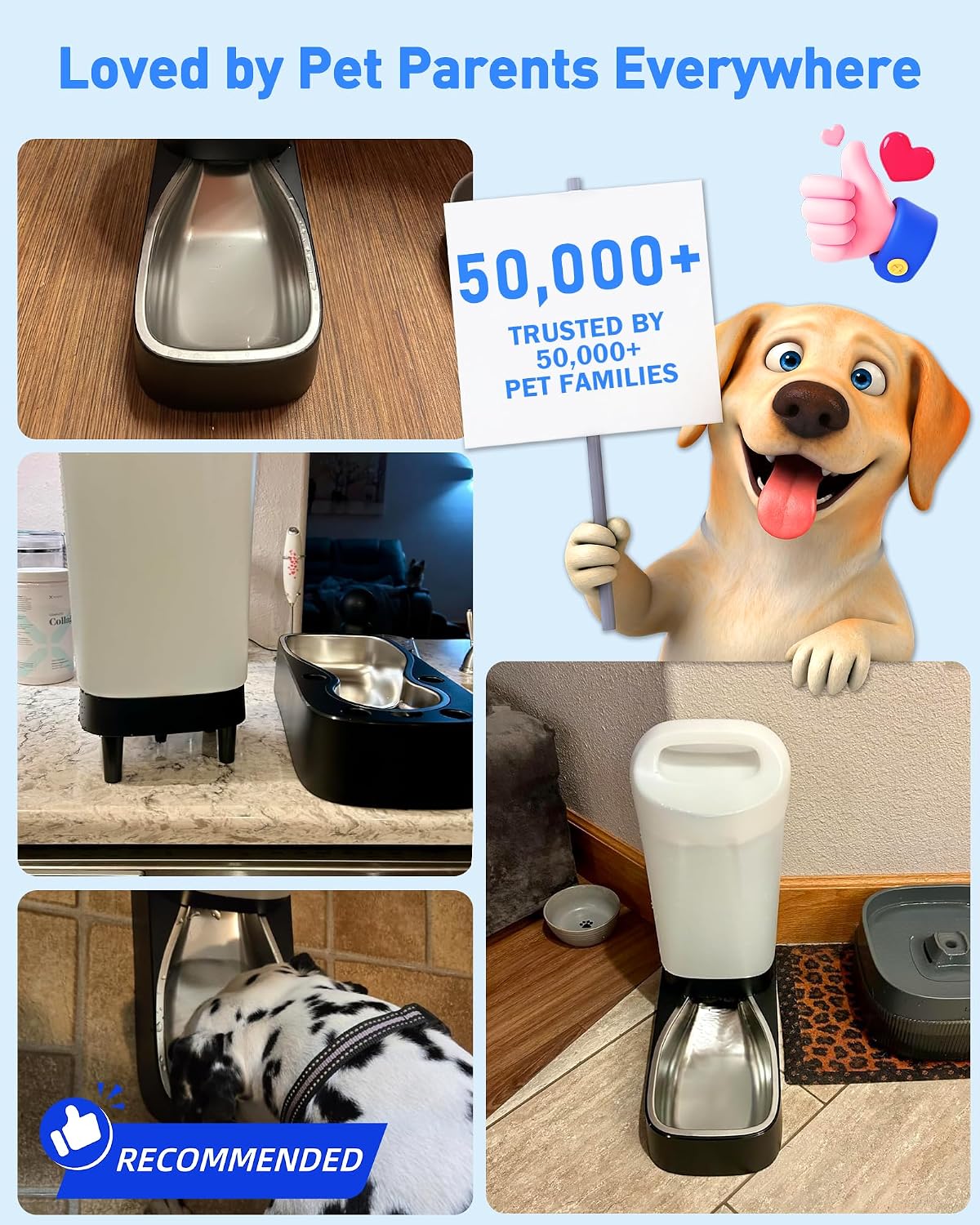 Automatic Dog Water Bowl Dispenser - 2.4 Gallon Gravity Pet Water Dispenser with 304 Stainless Steel Bowl, Dog Auto Feeders Bowls Self Waterer, Easy-Carry Handle for Large Dogs & Cats, Multi-Pet Home