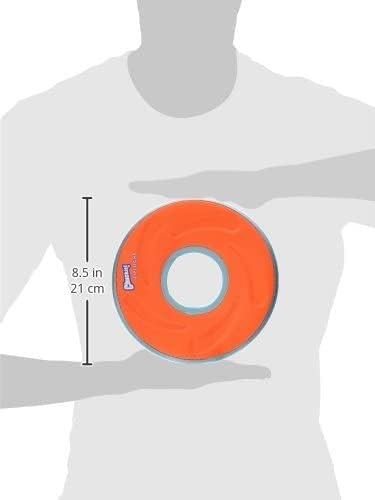 Zipflight Amphibious Flying Ring - Assorted Medium - 8" Diameter (2 Pack)2