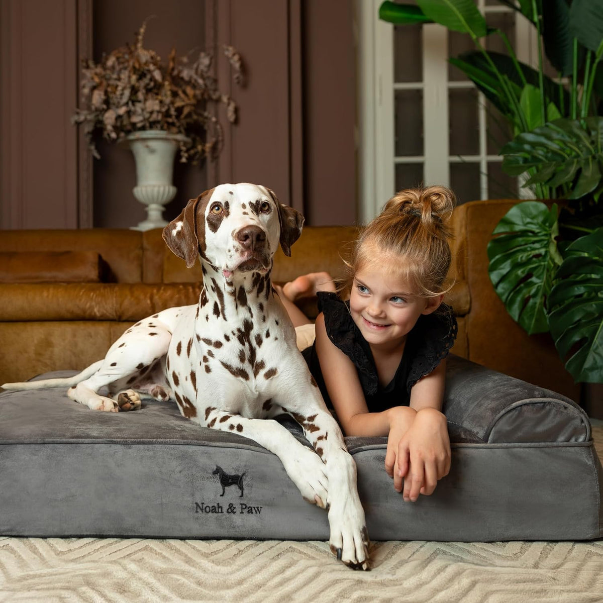 XL Dog Bed, 45x35x9.1 Inch, Orthopedic Large Dog Beds, Eggshell Memory Foam Infused with Cooling Gel, Water Resistant, Machine Washable, Includes Inner Cover