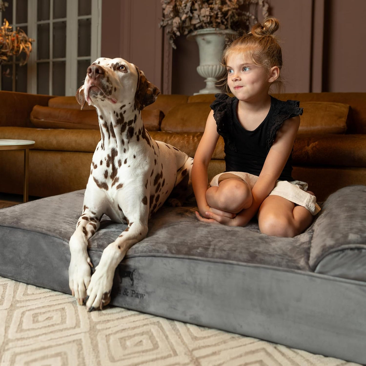 XL Dog Bed, 45x35x9.1 Inch, Orthopedic Large Dog Beds, Eggshell Memory Foam Infused with Cooling Gel, Water Resistant, Machine Washable, Includes Inner Cover