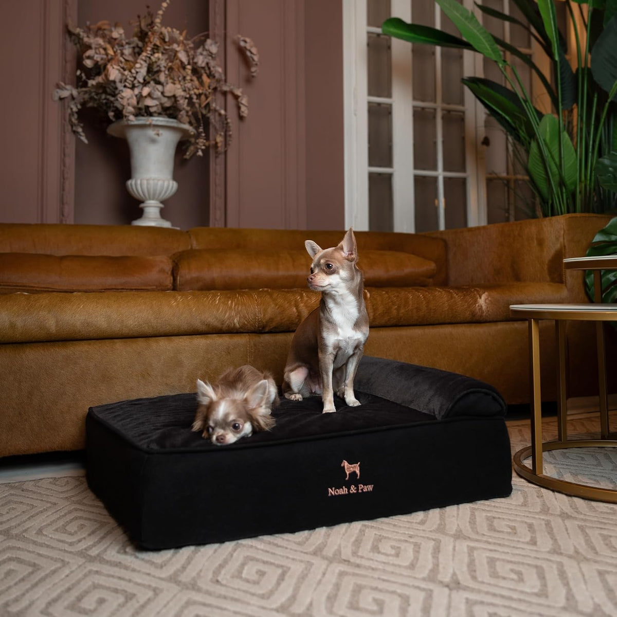 XL Dog Bed, 45x35x9.1 Inch, Orthopedic Large Dog Beds, Eggshell Memory Foam Infused with Cooling Gel, Water Resistant, Machine Washable, Includes Inner Cover