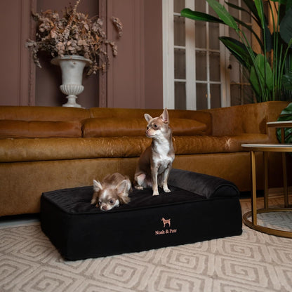 XL Dog Bed, 45x35x9.1 Inch, Orthopedic Large Dog Beds, Eggshell Memory Foam Infused with Cooling Gel, Water Resistant, Machine Washable, Includes Inner Cover