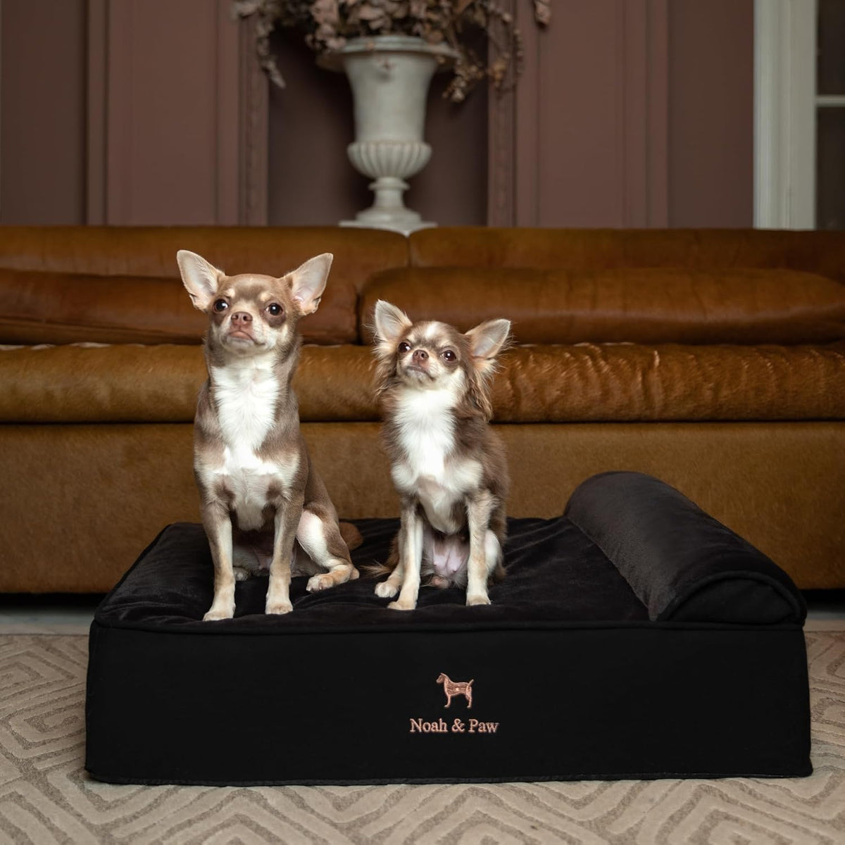 XL Dog Bed, 45x35x9.1 Inch, Orthopedic Large Dog Beds, Eggshell Memory Foam Infused with Cooling Gel, Water Resistant, Machine Washable, Includes Inner Cover