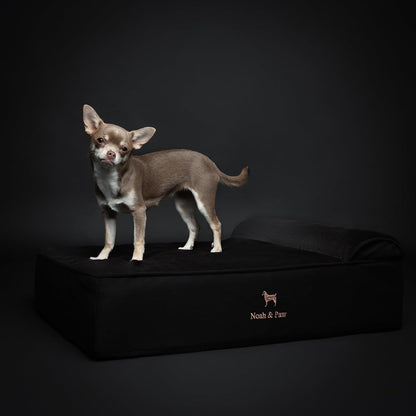 XL Dog Bed, 45x35x9.1 Inch, Orthopedic Large Dog Beds, Eggshell Memory Foam Infused with Cooling Gel, Water Resistant, Machine Washable, Includes Inner Cover