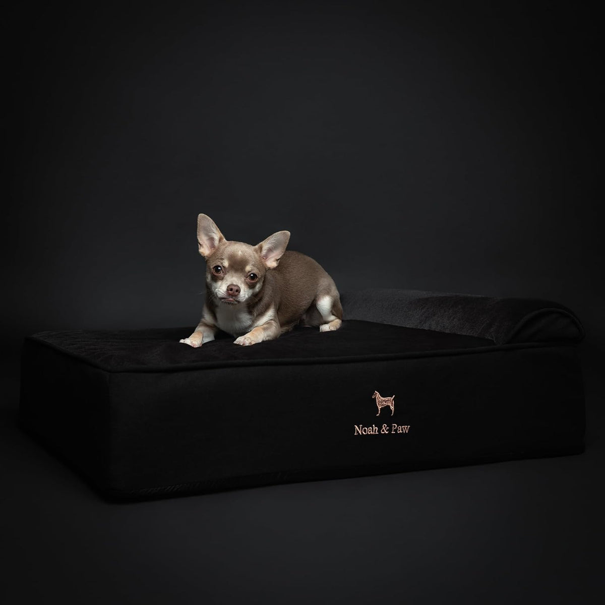 XL Dog Bed, 45x35x9.1 Inch, Orthopedic Large Dog Beds, Eggshell Memory Foam Infused with Cooling Gel, Water Resistant, Machine Washable, Includes Inner Cover