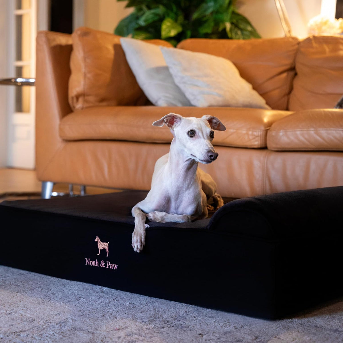 XL Dog Bed, 45x35x9.1 Inch, Orthopedic Large Dog Beds, Eggshell Memory Foam Infused with Cooling Gel, Water Resistant, Machine Washable, Includes Inner Cover