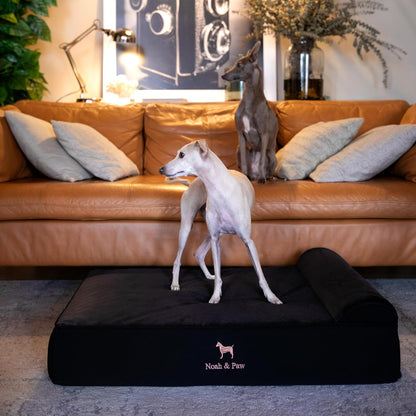 XL Dog Bed, 45x35x9.1 Inch, Orthopedic Large Dog Beds, Eggshell Memory Foam Infused with Cooling Gel, Water Resistant, Machine Washable, Includes Inner Cover