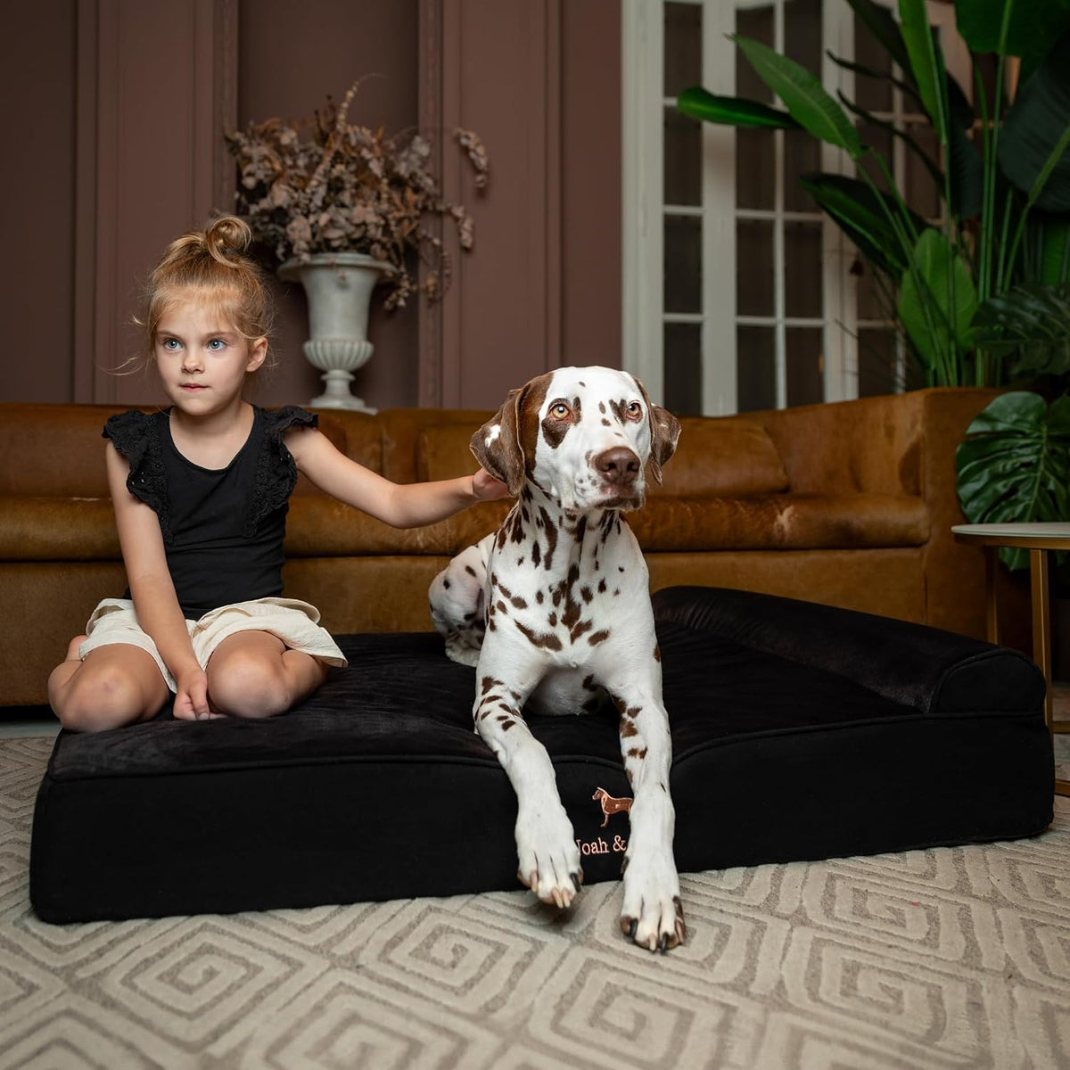 XL Dog Bed, 45x35x9.1 Inch, Orthopedic Large Dog Beds, Eggshell Memory Foam Infused with Cooling Gel, Water Resistant, Machine Washable, Includes Inner Cover