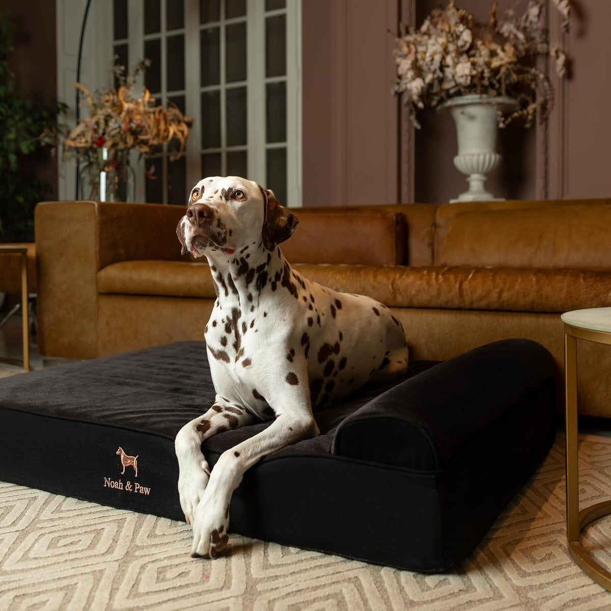 XL Dog Bed, 45x35x9.1 Inch, Orthopedic Large Dog Beds, Eggshell Memory Foam Infused with Cooling Gel, Water Resistant, Machine Washable, Includes Inner Cover