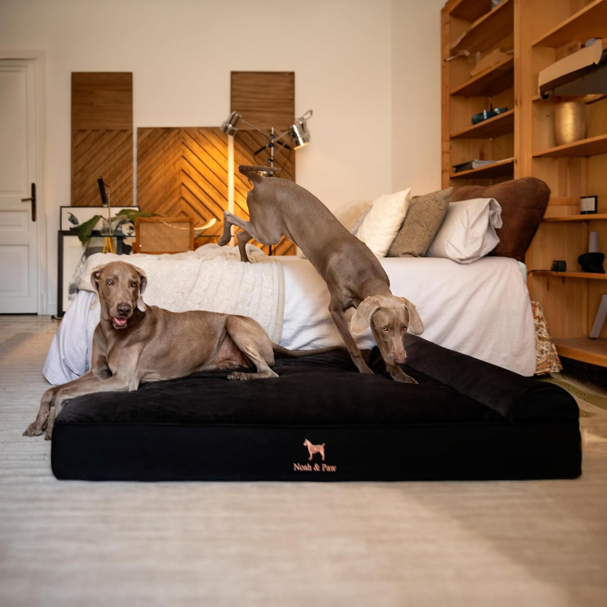 XL Dog Bed, 45x35x9.1 Inch, Orthopedic Large Dog Beds, Eggshell Memory Foam Infused with Cooling Gel, Water Resistant, Machine Washable, Includes Inner Cover