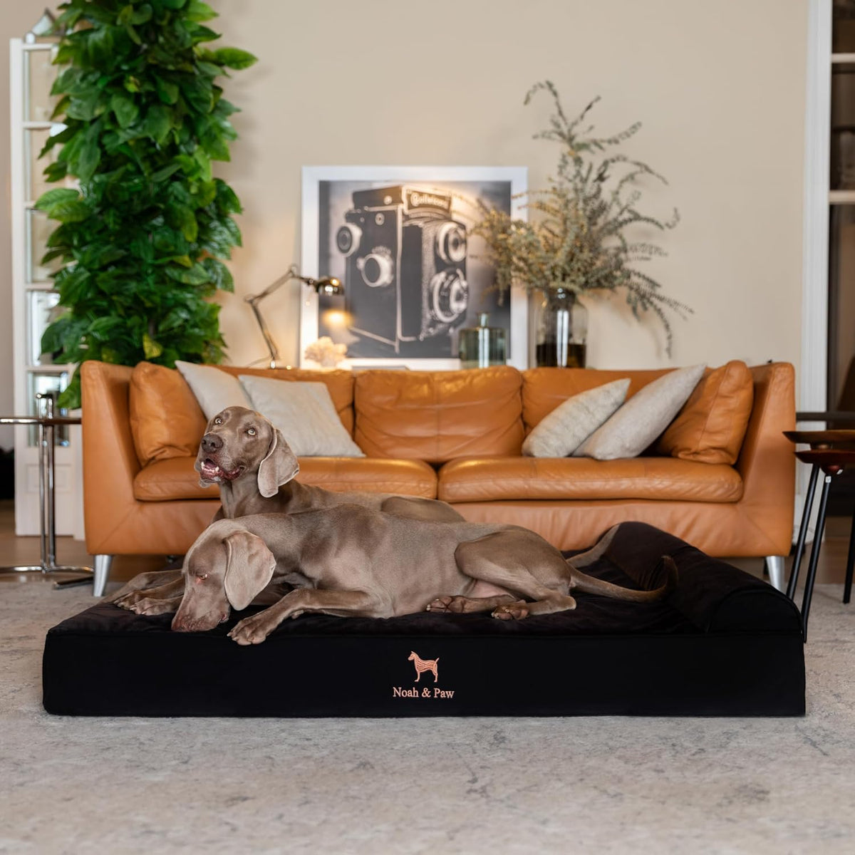 XL Dog Bed, 45x35x9.1 Inch, Orthopedic Large Dog Beds, Eggshell Memory Foam Infused with Cooling Gel, Water Resistant, Machine Washable, Includes Inner Cover