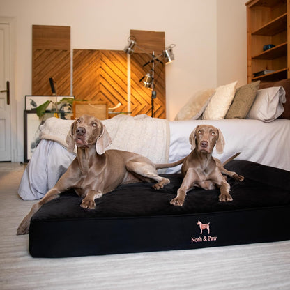 XL Dog Bed, 45x35x9.1 Inch, Orthopedic Large Dog Beds, Eggshell Memory Foam Infused with Cooling Gel, Water Resistant, Machine Washable, Includes Inner Cover