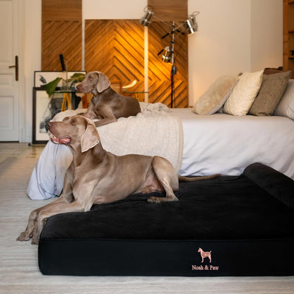 XL Dog Bed, 45x35x9.1 Inch, Orthopedic Large Dog Beds, Eggshell Memory Foam Infused with Cooling Gel, Water Resistant, Machine Washable, Includes Inner Cover