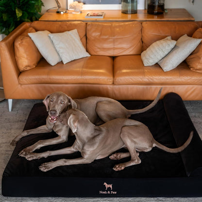 XL Dog Bed, 45x35x9.1 Inch, Orthopedic Large Dog Beds, Eggshell Memory Foam Infused with Cooling Gel, Water Resistant, Machine Washable, Includes Inner Cover