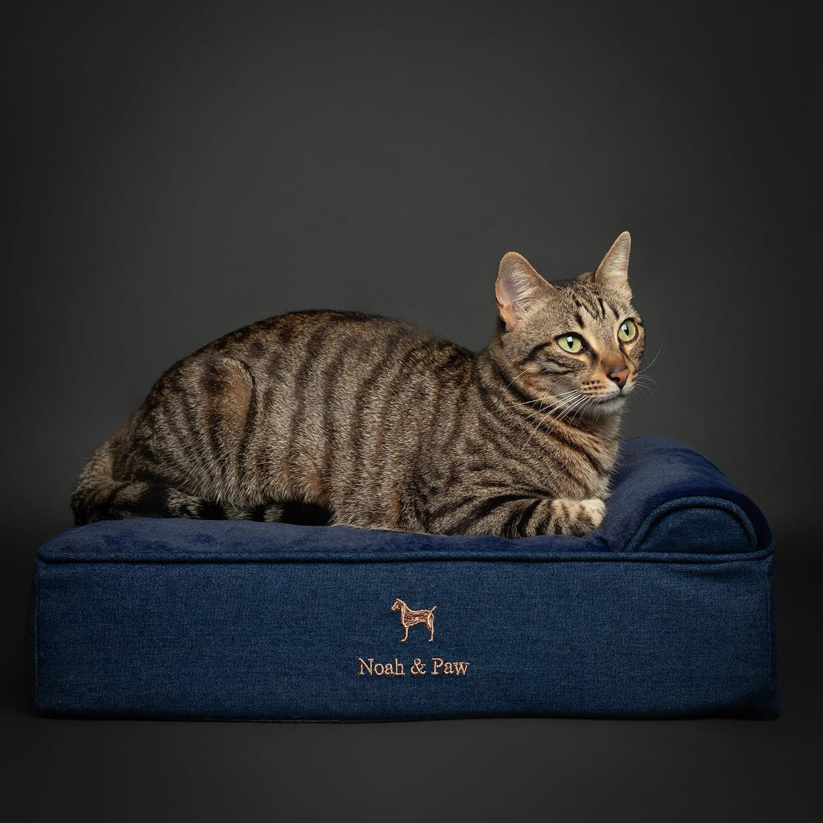 XL Dog Bed, 45x35x9.1 Inch, Orthopedic Large Dog Beds, Eggshell Memory Foam Infused with Cooling Gel, Water Resistant, Machine Washable, Includes Inner Cover