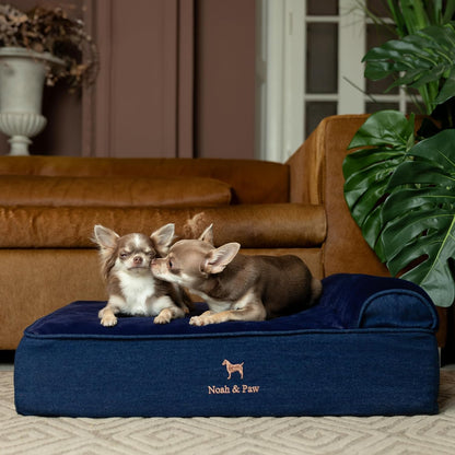 XL Dog Bed, 45x35x9.1 Inch, Orthopedic Large Dog Beds, Eggshell Memory Foam Infused with Cooling Gel, Water Resistant, Machine Washable, Includes Inner Cover